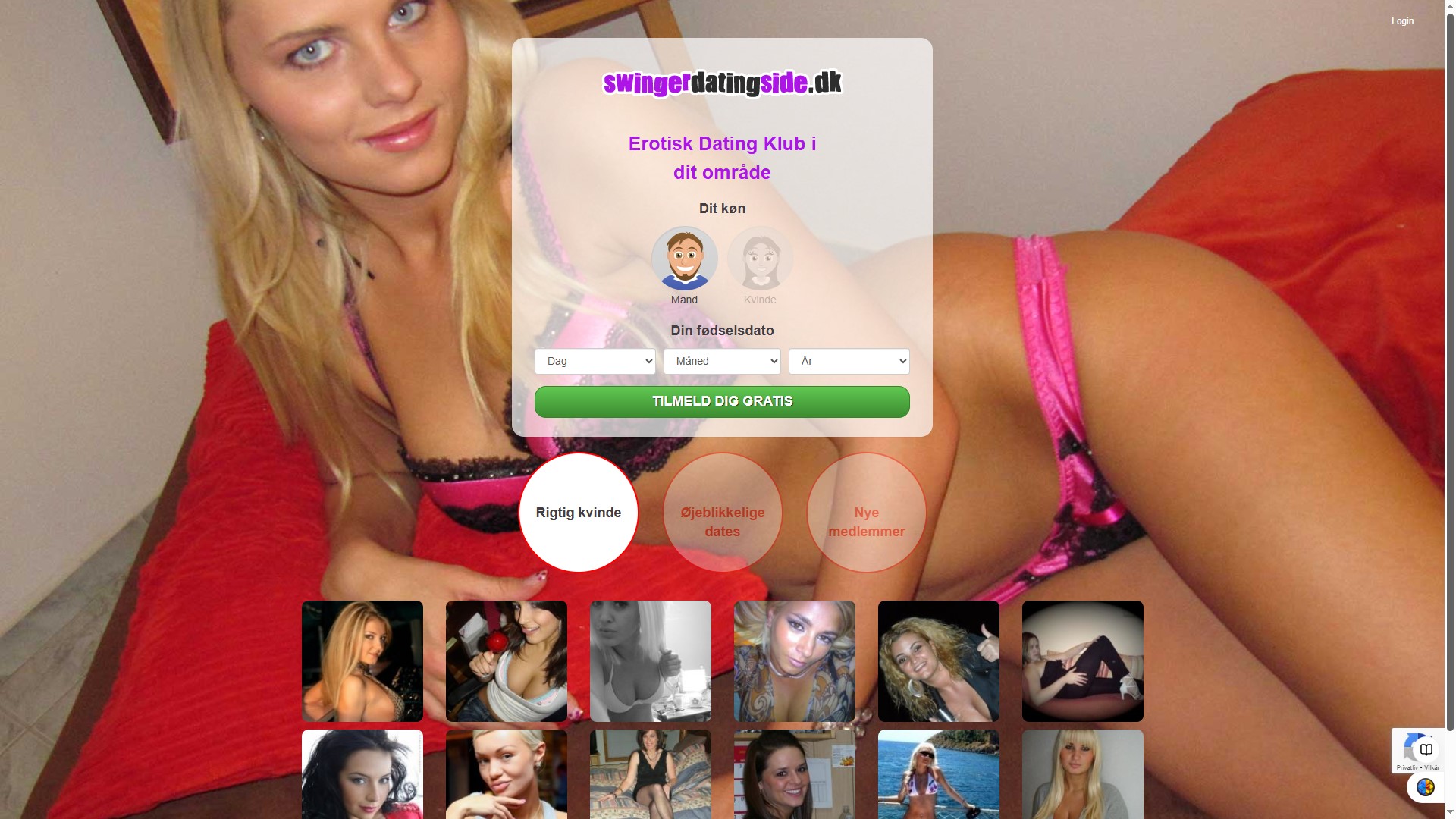 Dansk Swinger Dating Logo