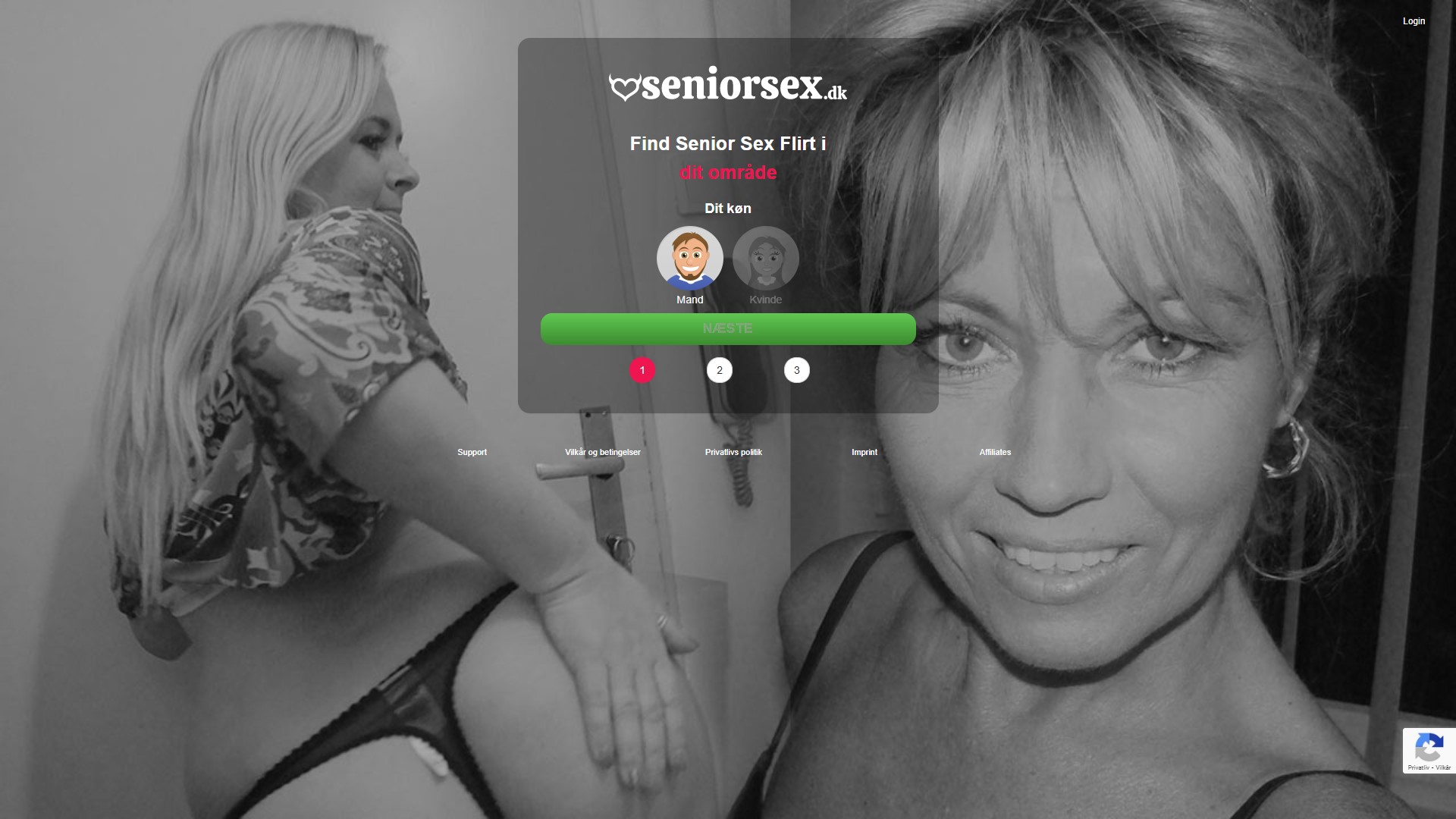 Dansk Senior sex Dating Logo